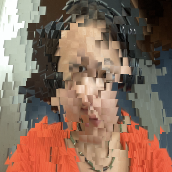 Alt text